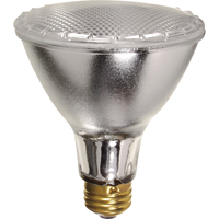 Gammes de lampes &eacute;conomiques Distribution Élite MP