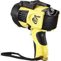 Projecteurs style pistolet Waypoint, DEL, 550 Lumens, Piles C Distribution Élite MP