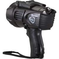Projecteurs style pistolet Waypoint, DEL, 550 Lumens, Piles C Distribution Élite MP