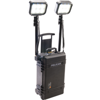 9460 Remote Area Lighting Systems, LED, 12,000 Lumens, Plastic Housing Distribution Élite MP