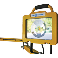 Heavy-Duty Dock Light, 40" Arm, 38 W, LED Lamp, Metal Distribution Élite MP
