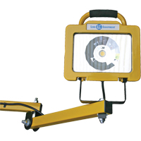 Heavy-Duty Dock Light, 40" Arm, 38 W, LED Lamp, Metal Distribution Élite MP