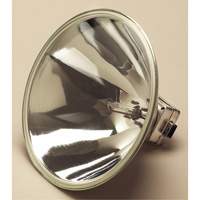 Flashlight Replacement Bulbs