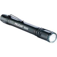 Lampes de poche ProGear 1920, DEL, 120 lumens, Piles AAA Distribution Élite MP