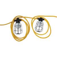 Chaînes de lumi&egrave;res DEL, 5 Lumi&egrave;res, 600" lo, Boîtier en M&eacute;tal Distribution Élite MP