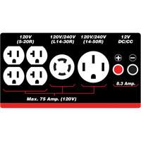 G&eacute;n&eacute;ratrice &agrave; essence/propane &agrave; d&eacute;marreur &eacute;lectrique Distribution Élite MP