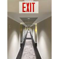Exit Sign, LED, Battery Operated/Hardwired, 12-1/5" L x 7-1/2" W, English Distribution Élite MP