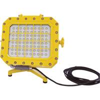 Explosion Proof Floodlight with Floor Stand, LED, 40 W, 5600 Lumens, Aluminum Housing Distribution Élite MP