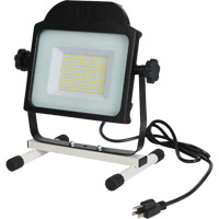 Floodlight, LED, 100 W, 10000 Lumens Distribution Élite MP