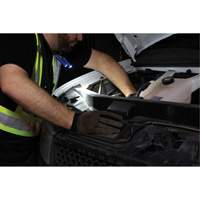 Work Light, Neck Light, Rechargeable, 300 Lumens Distribution Élite MP