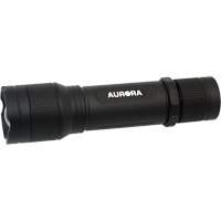 Lampe de poche IP67, DEL, 2000 lumens, Piles Rechargeable Distribution Élite MP