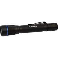Lampe de poche IPX7, DEL, 250 lumens, Piles AA Distribution Élite MP